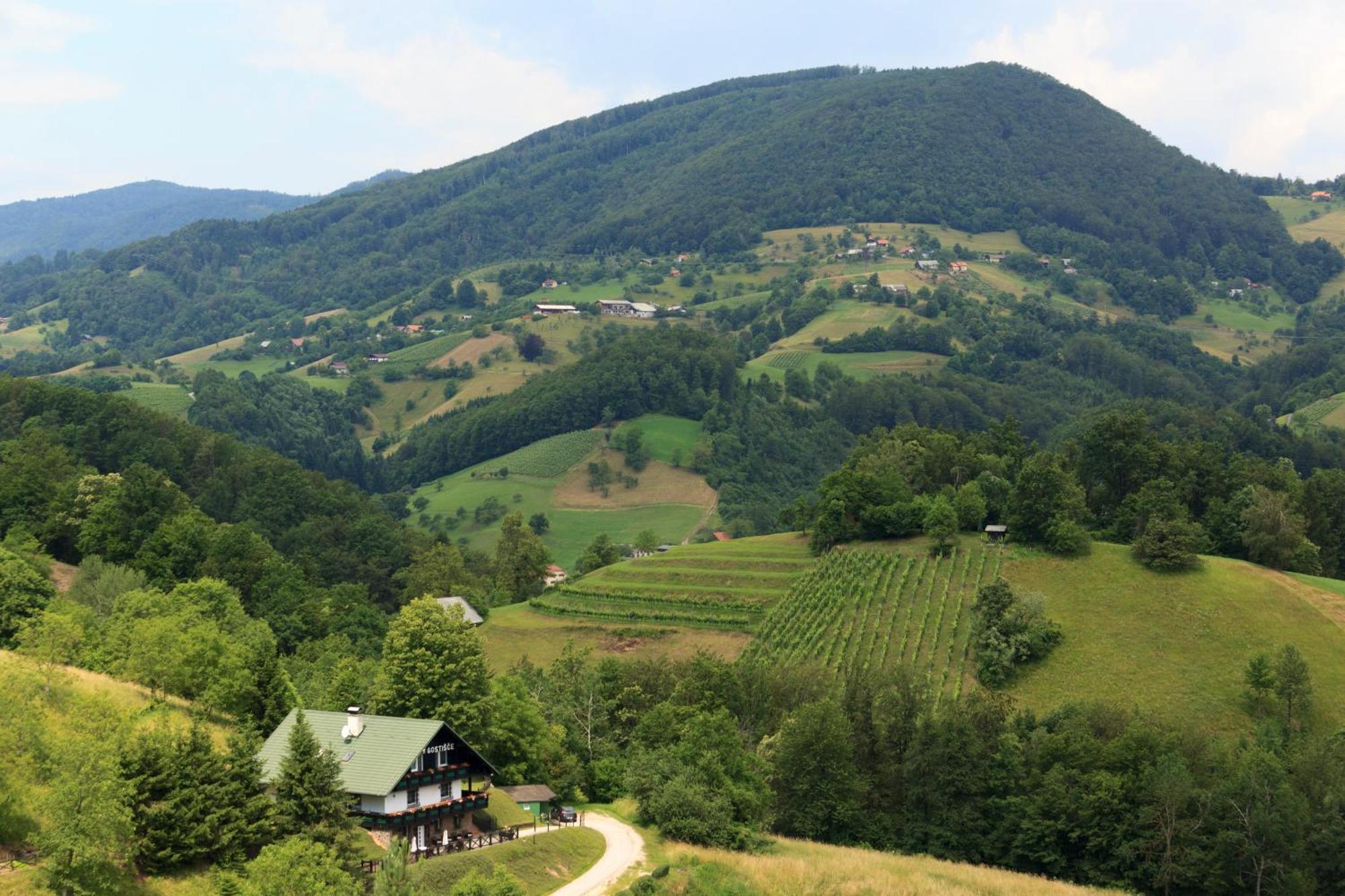 Pod Orehi Guest House Loce pri Poljcanah 외부 사진