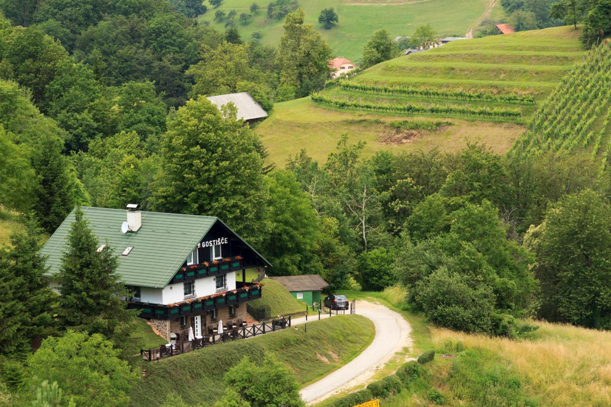 Pod Orehi Guest House Loce pri Poljcanah 외부 사진
