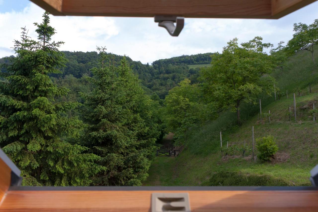 Pod Orehi Guest House Loce pri Poljcanah 객실 사진